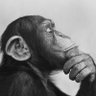 Фото профиля the thinker