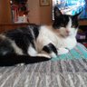 sonia profil fotoğrafı