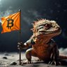 Profilbild von Kylemander 🦎