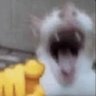 Lmao profil fotoğrafı