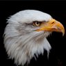 Profilbild von Hay Y'all 45-47