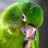 Elías profil fotoğrafı