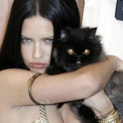 calotomii's profile picture