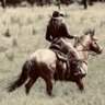 Profilbild von BozemanCowgirl
