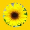 Фото профиля かずみ🌻