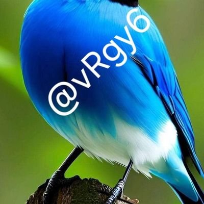 vRgy6's profile picture