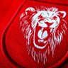 Camilo Chacon's profile picture
