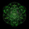 Фото профиля BIO/ACC CTO