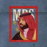🇸🇦's profile picture