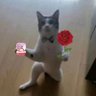 MJ^2 profil fotoğrafı