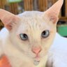 Conditioning's profile picture