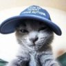 чича's profile picture