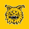 Ilves Football's profile picture