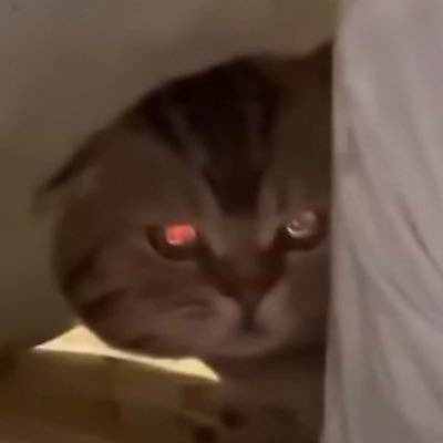 lililashka's profile picture