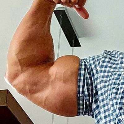 GermanMuscleBoss 💰's profile picture