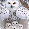 daermond's profile picture