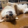 ゆきち's profile picture