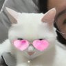 Megu profil fotoğrafı