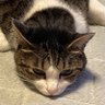 プー太郎 的头像