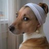 Profilbild von Zendaya