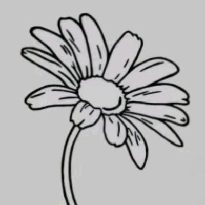 WindforJS's profile picture
