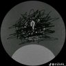 CC's profile picture