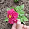RBkumar0276 profil fotoğrafı