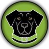 DOGMONEY 的头像