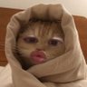 Profilbild von SJ_RMT