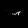 Profilbild von Sam