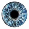 Concordia's profile picture