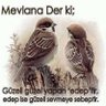 Leyla 🇹🇷 profil fotoğrafı
