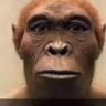 Singe originel's profile picture