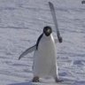 MiHumildeOpinion's profile picture