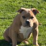 Profilbild von Bubba Trump