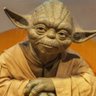 yoda 的头像