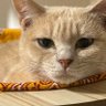 KZ profil fotoğrafı