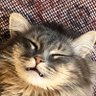 Colby🐟's profile picture