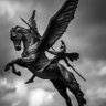 Pegasus's profile picture
