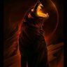 AmmA Ahmed's profile picture