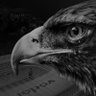 Фото профиля CometoBeşiktaş