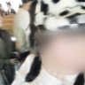 ♛︎ profil fotoğrafı