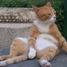 Bruno Nodet's profile picture