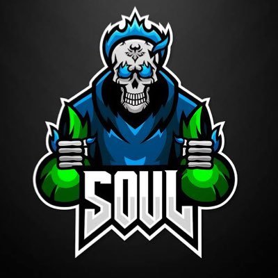 SouL Esp Comm's profile picture