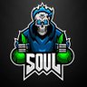 Фото профиля Soul ESP Com