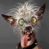 SimpleSimon's profile picture