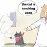 Profilbild von KnotaCat