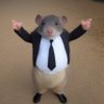 Thomas's profile picture