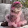 Фото профиля sashacat