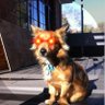 RedfoxLenny 的头像